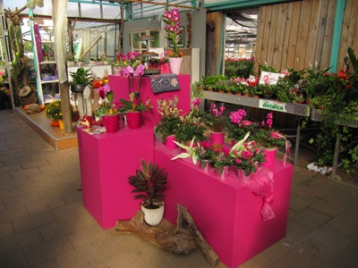 Der Blumenladen