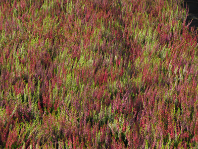 Stacks Image 859