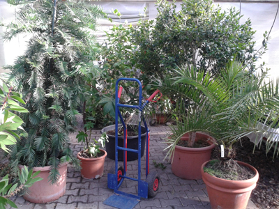 Überwinterrungsservice